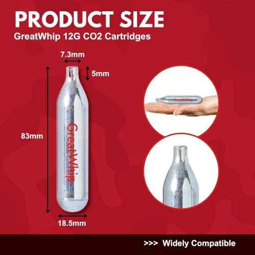 GreatWhip 25 x 12g CO2 Cartridges Non-Threaded Compatible to CO2 BB Gun, Air Gun, Airsoft Gun, Air Pistol, Air Rifle (25 Count)