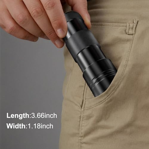 Blacklight Flashlights 4 Pack - 395nm UV Handheld Pet Urine Detector, Scorpions, Stains, Bed Bugs