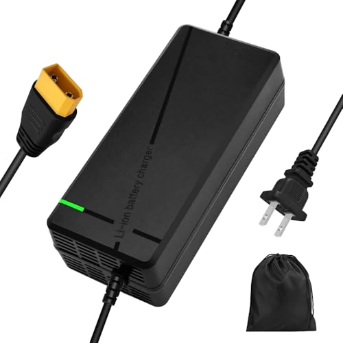 84V 5A Fast Lithium Battery Charger with Cooling System and XT90 Plug