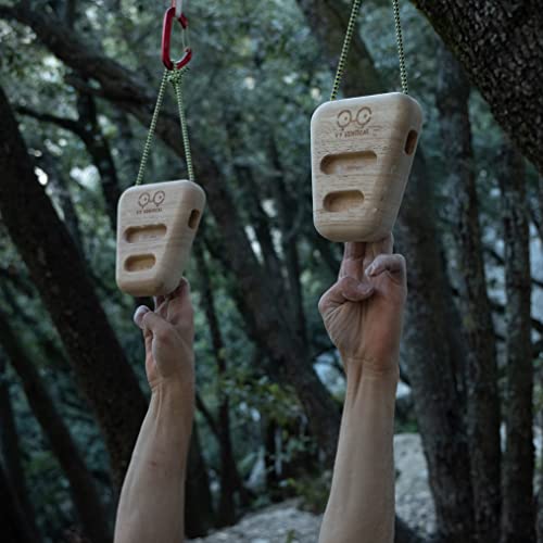 YY Vertical Hang Holds - Rocky Variation for Climbing Gym