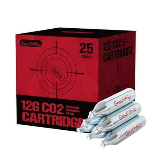 GreatWhip 25 x 12g CO2 Cartridges Non-Threaded Compatible to CO2 BB Gun, Air Gun, Airsoft Gun, Air Pistol, Air Rifle (25 Count)
