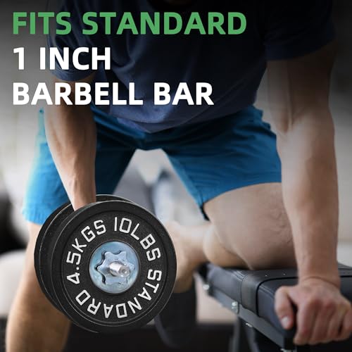 Fitvids Cast Iron 1-Inch Standard Weight Plate for Strength Training & Weightlifting, Home Gym, Multiple Weights Available
