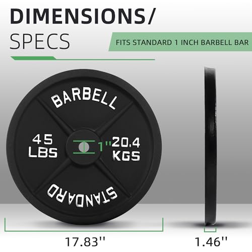 Fitvids 1-Inch Standard Cast Iron Weight Plate for Strength Training & Weightlifting, Multiple Sizes