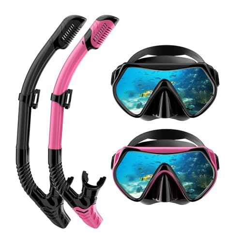 Snorkeling Gear for Adults, Dry-Top Snorkel Set Scuba Diving mask, 180¡ÆPanoramic Wide View Professional Snorkeling Gear Breathing Freely Snorkel Mask