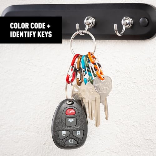 Small Aluminum Keyring Locker S-Biner Carabiner Set with 5 Assorted Colors