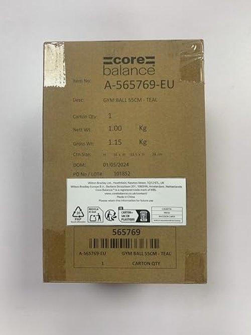 Core Balance Exercise Ball for Workouts, Anti-Burst and Slip Resistant, Swiss Yoga Ball for Pregnancy, Stability, Fitness and Physical Therapy, 4 Sizes, with Pump (22" / 55cm Teal)