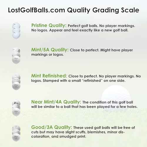 LostGolfBalls - 48 Titleist Pro V1 Golf Balls in Mint Condition, 2021 Year Model, No Logos, No Player Markings, Refinished Used Golf Balls, Quality Guaranteed, White