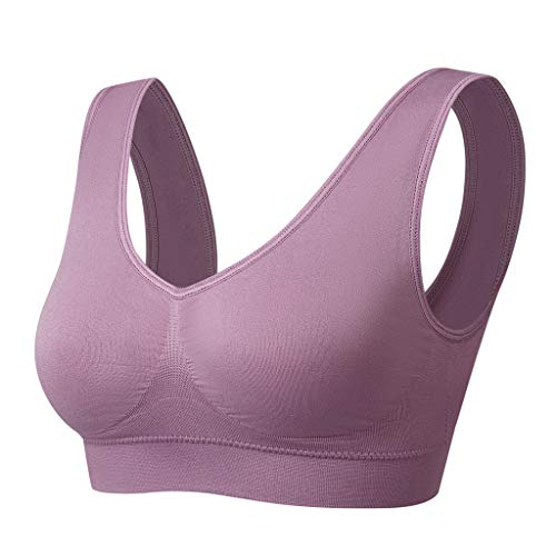 Vermilion Bird Women's 3 Pack Seamless Sports Bras with Removable Pads XX-Large Black Grey Ink Blue Orchid Truffle