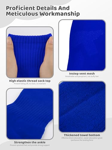Toddler Baseball Socks and Belt Set - 2 Pairs, Cotton, Royal Blue 2-4T