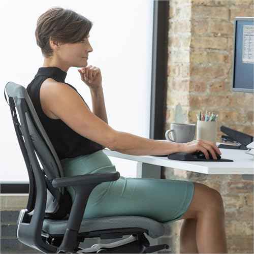 Fellowes Professional Series Back Support, Black (8037601)