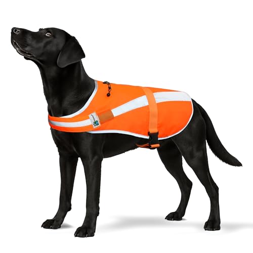 Reflective Dog Hunting Vest - Blaze Orange Safety Vest with Removable Bell, Waterproof, Lightweight (Size L)