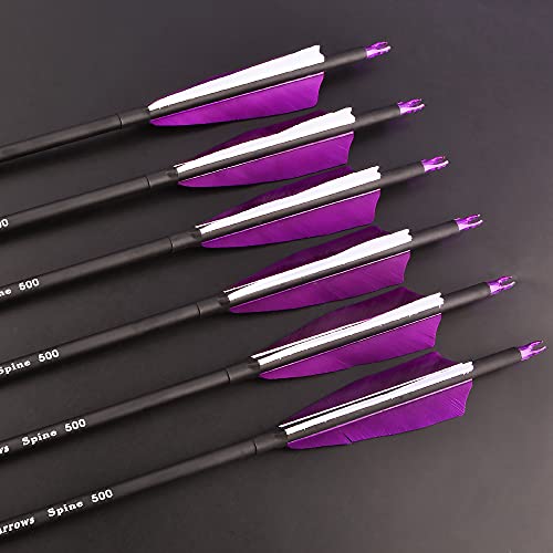 12 Pcs Purple Archery Carbon Arrows with 4-Inch Turkey Feathers for Hunting & Target Practice