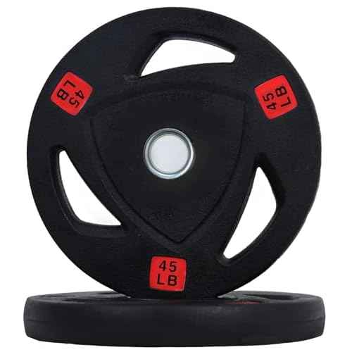 Fitvids standard Cast Iron 1-inch Weight Plate for Strength Training & Weightlifting, Rubber Coate Style, 45lbs, Pair