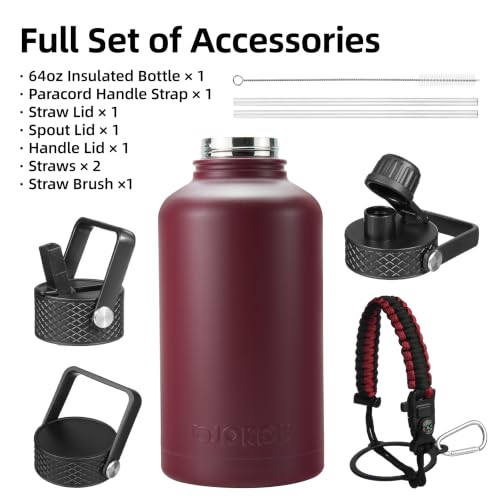 64oz Insulated Water Bottle with Straw Lid - Brick Red, Half Gallon Hydration Jug