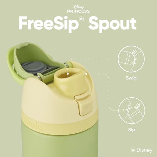 Princess Stainless Steel Water Bottle 24oz - Tiana Variant