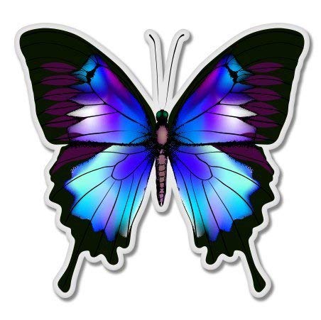 Blue Morpho Butterfly Vinyl Car Window Bumper Sticker Decal - Weatherproof Outdoor Grade