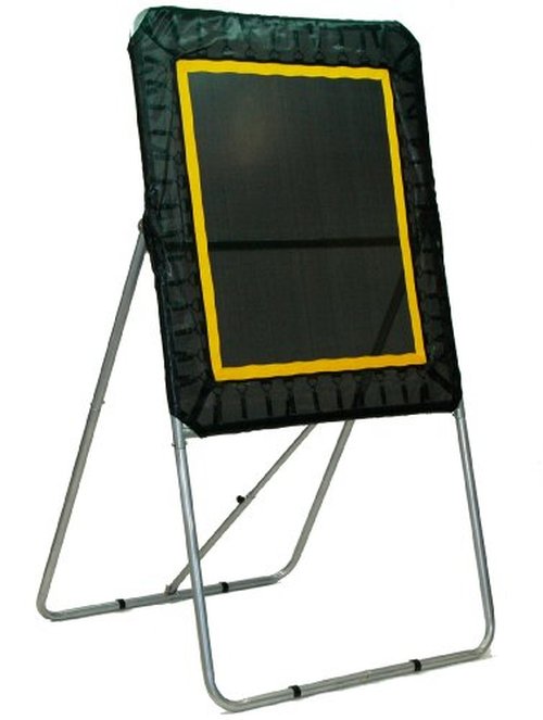 Champion Sports Deluxe Lacrosse Target: Ball Return Bounce Back Net Set for Professional, College and Grade School Training & Drills - 4' x 3' Rebound Area