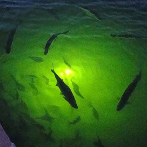 LOSTCAT 18W DC 12V Green IP68 Waterproof Aluminum Super Bright LED Fish Bait Submersible Dock Underwater Fishing Light Attractants for at Night Snook Crappie with Battery Clamps