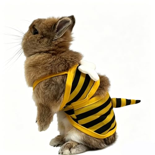 Pet Swimwear Bikini for Small Dogs & Cats - Yellow Bee X-Small