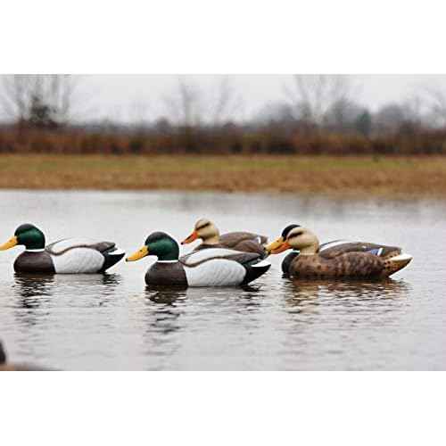 Flambeau Outdoors 5900MSU Masters Series Extreme Mallard Duck Decoys 3-Pack Hunting Decoys