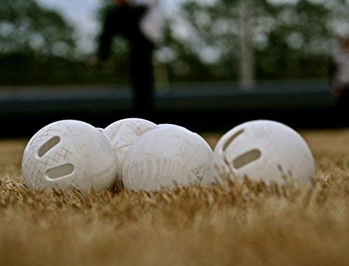 Regulation Plastic Wiffle Balls - Pack of 24 for Baseball & Batting Practice