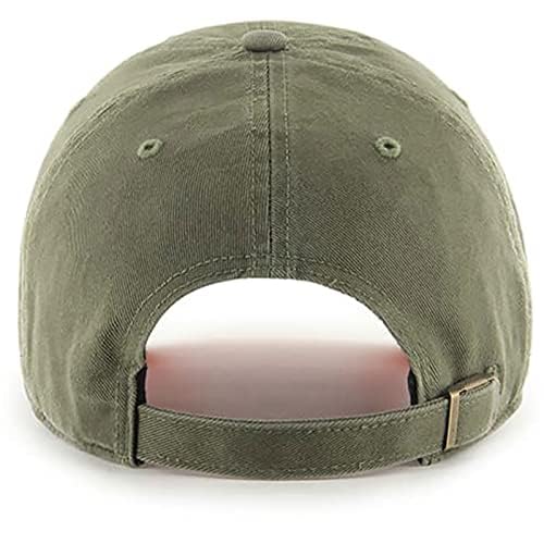 47 unisex-adult Clean Up Dad Hat