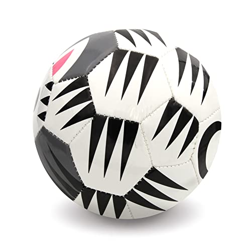 Daball Kid and Toddler Soccer Ball Size 1 & 3 with Pump & Gift Box - Happy Zebra