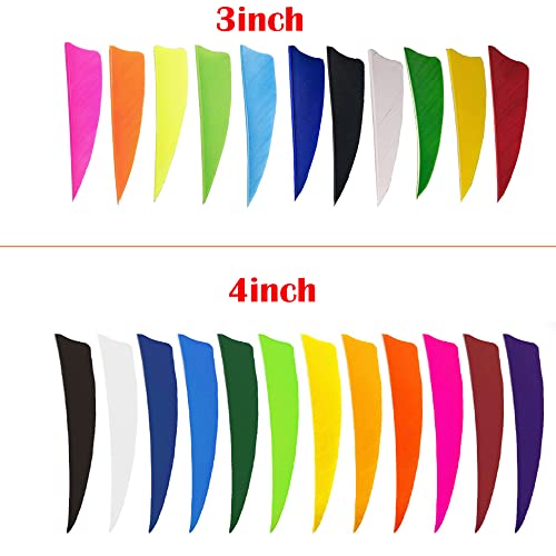 50pcs 4-Inch Shield Cut Turkey Feather Arrow Fletchings Right Wing White
