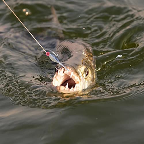 Crappie Fishing Lure Set 50pcs with Jig Heads & Hooks - 2in Baits, Includes Variation A