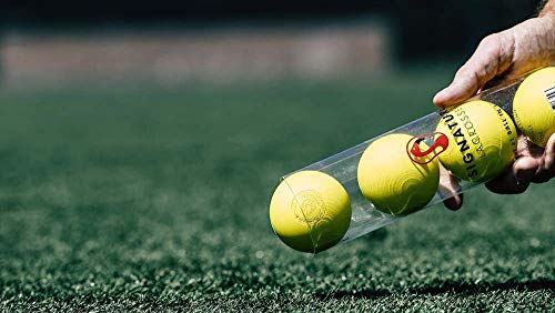 Assorted Lacrosse Balls Set of 8 - Massage, Therapy & Recreation