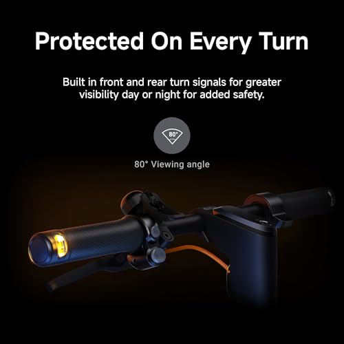 Segway Ninebot F2 Electric KickScooter - 350W Motor, Up to 25 Mi Range and 18 MPH, w/t 10-inch‎ Self-Sealing Tubeless Tires, Dual Braking System and Cruise Control, UL-2272 Certified
