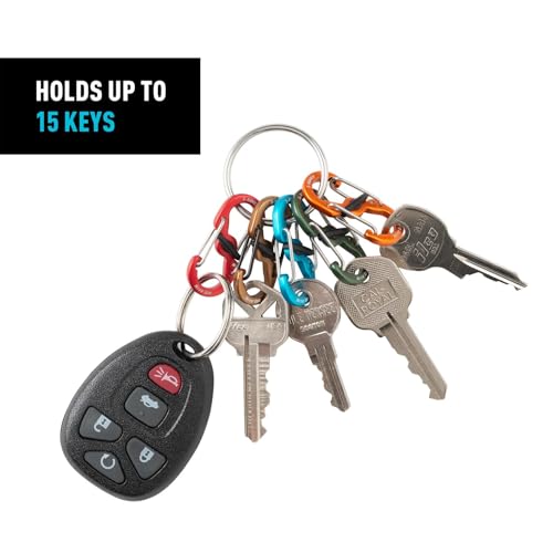 Small Aluminum Keyring Locker S-Biner Carabiner Set with 5 Assorted Colors