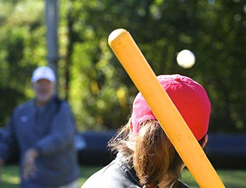 Regulation Plastic Wiffle Balls - Pack of 24 for Baseball & Batting Practice