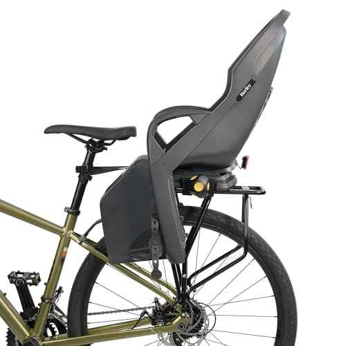 Burley Rear Rack