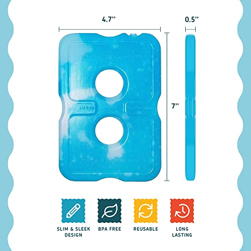 Blue Set of 6 Slim Reusable Ice Packs for Lunch Boxes & Coolers