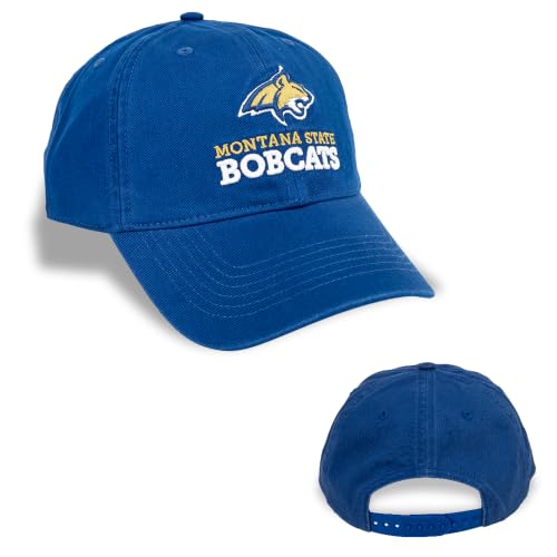 Montana State University Embroidered Baseball Hat - Desert Cactus
