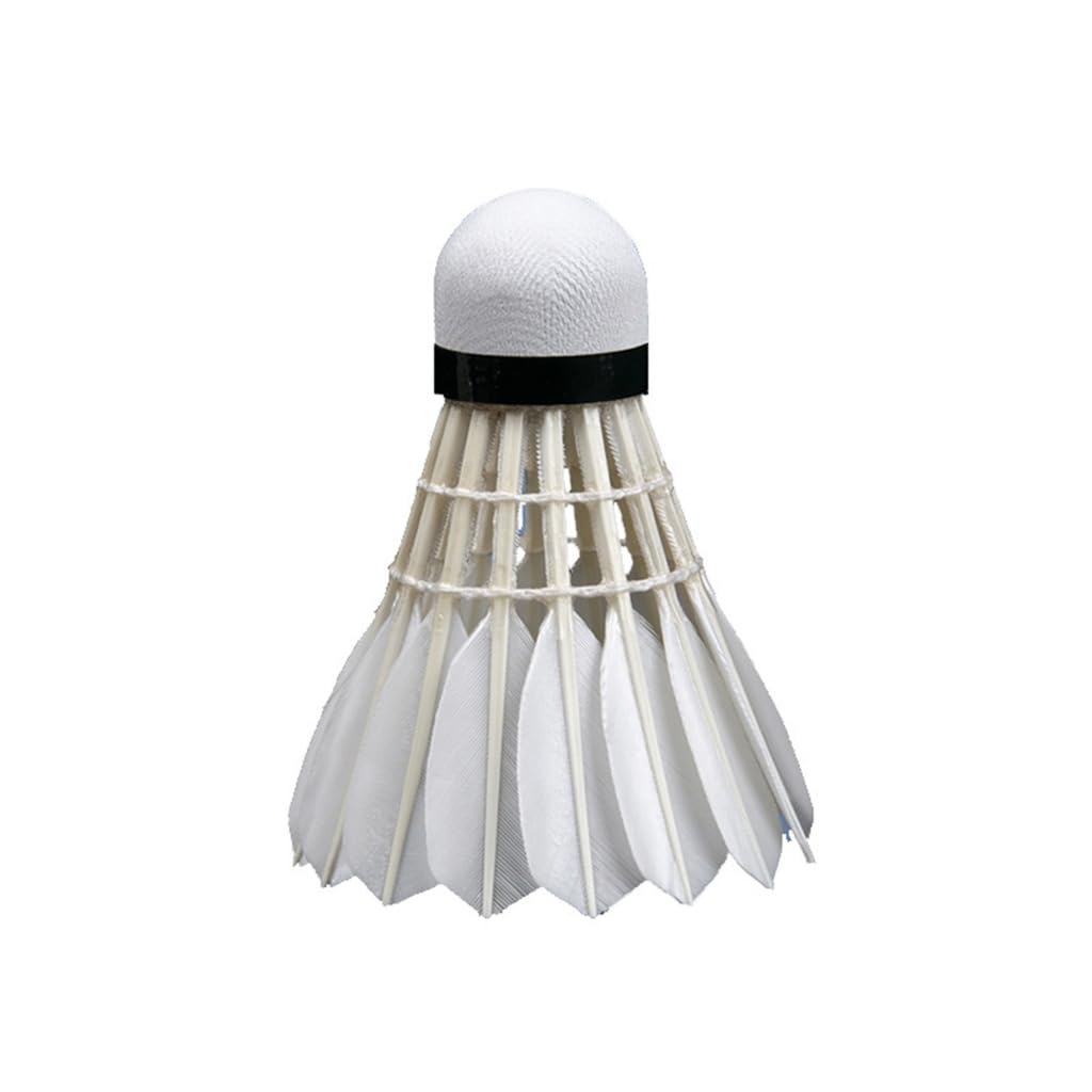 12 Pcs Shuttlecocks, Professional Badminton Shuttlecock Lightweight Training Sport Badminton Balls High Speed Badminton Birdies