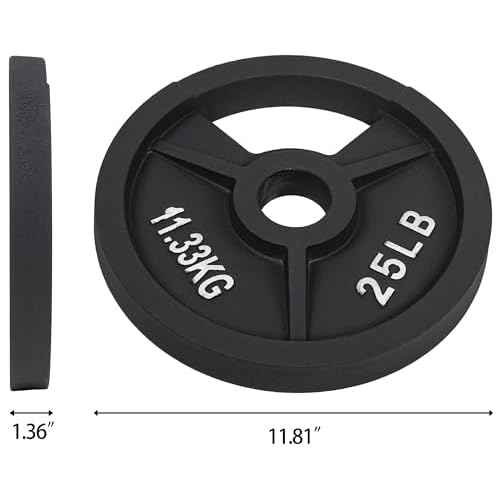 Fitvids 2-Inch Olympic and 1-Inch Standard Cast Iron Weight Plate for Strength Training & Weightlifting, Multiple Weights Available