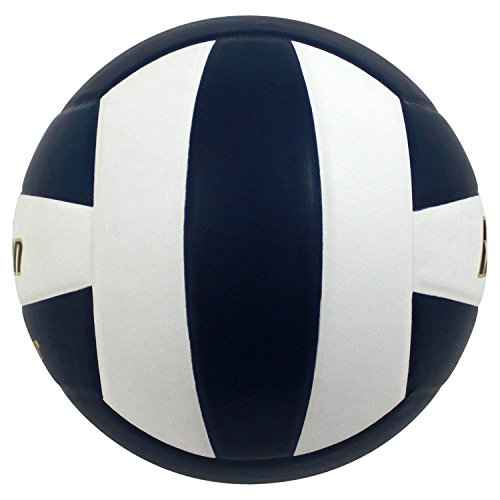 Baden | Perfection | Premium Leather | Indoor Official Game Volleyball | 13U to College | Official Size + Weight | Navy/White | NFHS + AVCA Approved