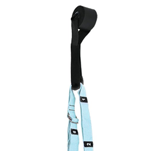 Leg Stretcher Strap,Aerial Strap Flexibility Trainer,Elastic Strong Bearing Capacity Folding Yoga Swing Assist Stretch Strap for Fitness Gymnastics Dance Aerial Yoga Ballet Leg Stretching(Sky Blue)