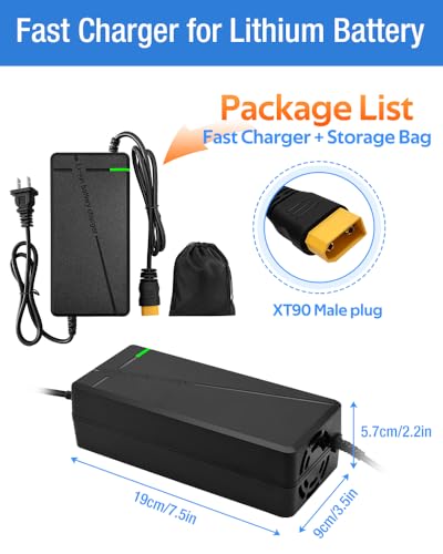 84V 5A Fast Lithium Battery Charger with Cooling System and XT90 Plug