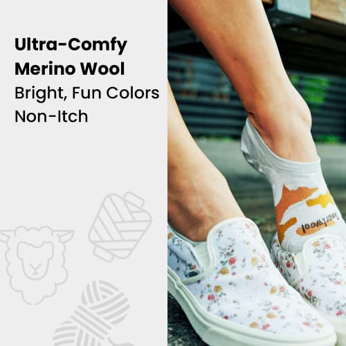 Smartwool Women's Run Zero Cushion Low Ankle Socks - Small Charcoal