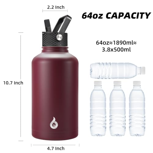 64oz Insulated Water Bottle with Straw Lid - Brick Red, Half Gallon Hydration Jug