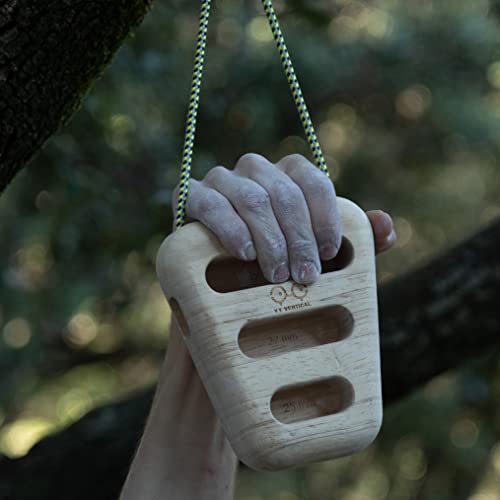 YY Vertical Hang Holds - Rocky Variation for Climbing Gym