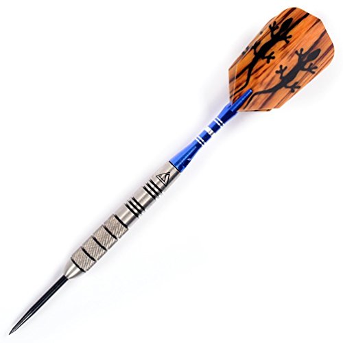 CUESOUL 26g Tungsten Steel Tip Darts with Black Case - Center Weighted, Hand Painted Rings