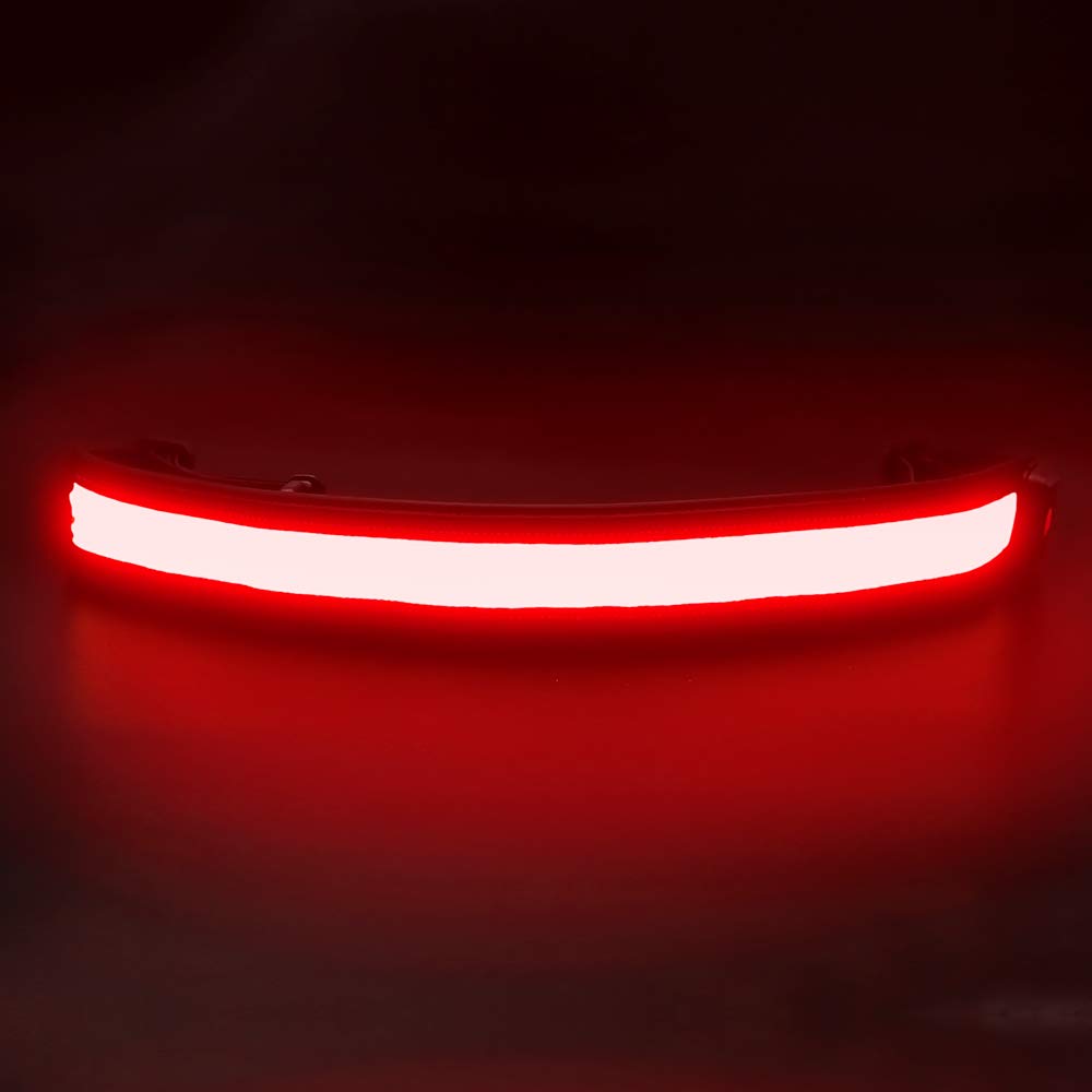 BSEEN LED Running Waist Belt - USB Rechargeable Reflective Glowing LED Waistband, Flashing Safety Light Belt for Runners, Joggers, Walkers, Pet Owners, Cyclists (Red)