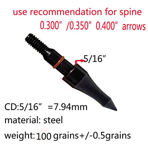 Field Points Arrowheads 100 Grain 5/16 Inch Screw-In Archery Tips - 12 Pack - Variation B-5/16"100Grain
