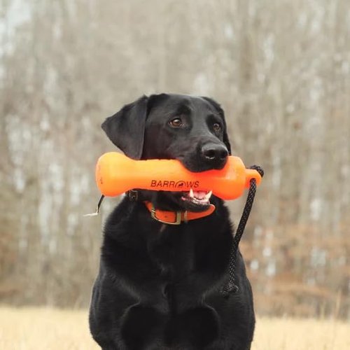 Barrows Outdoor Dog Training Bumpers (Orange)