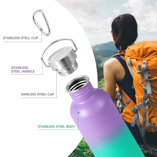 Uninsulated 32oz Stainless Steel Water Bottle with Handle - Purple Green