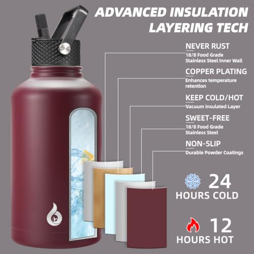 64oz Insulated Water Bottle with Straw Lid - Brick Red, Half Gallon Hydration Jug